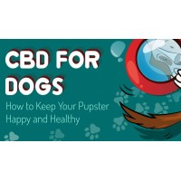 CBD Be a Unique Supplement?