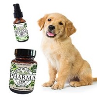 Keeping Your Dog Healthy the Natural Way